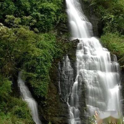 日本高速4车连撞!汽车被挤压到30厘米厚,车上夫妻当场死亡